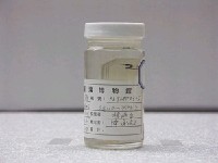 藏品(金花鮨)的圖片